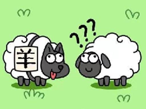 sheep