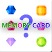 memory-card