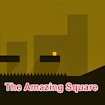 the-amazing-square